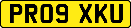 PR09XKU