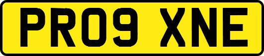 PR09XNE