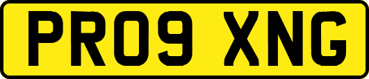 PR09XNG
