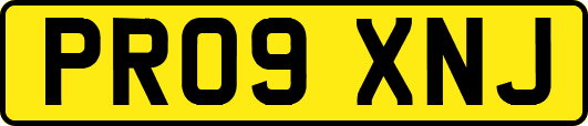 PR09XNJ