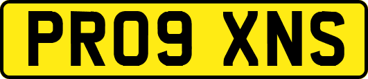 PR09XNS