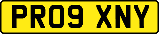 PR09XNY