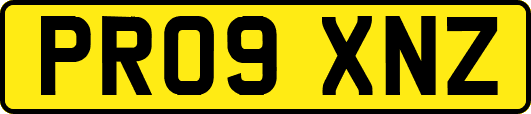 PR09XNZ