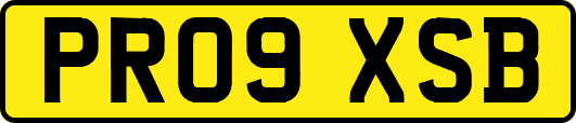 PR09XSB