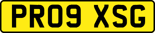 PR09XSG