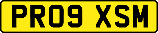 PR09XSM
