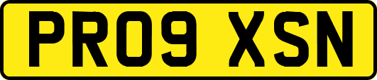 PR09XSN