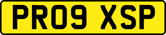 PR09XSP