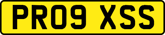 PR09XSS