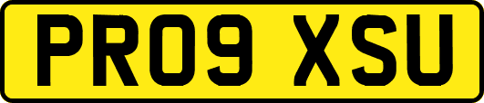 PR09XSU