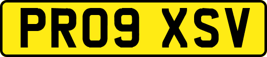 PR09XSV