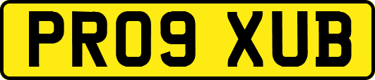 PR09XUB