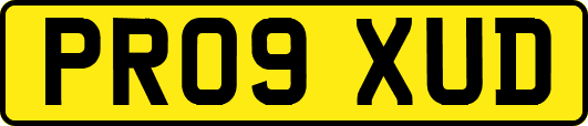 PR09XUD