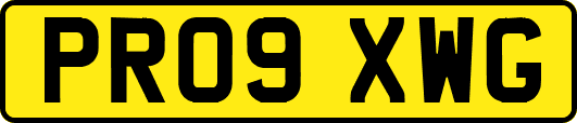 PR09XWG