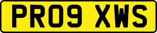 PR09XWS