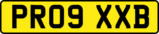PR09XXB