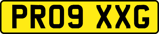 PR09XXG