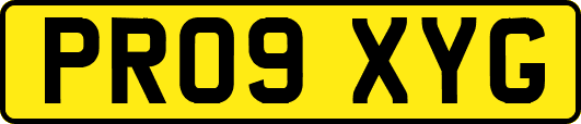 PR09XYG