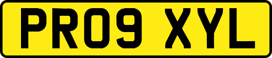 PR09XYL
