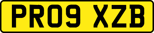 PR09XZB