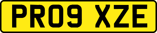 PR09XZE