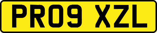 PR09XZL