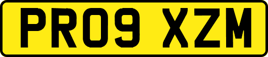 PR09XZM