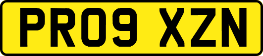 PR09XZN