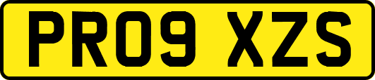 PR09XZS