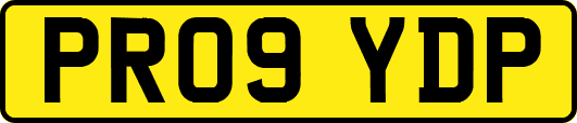 PR09YDP