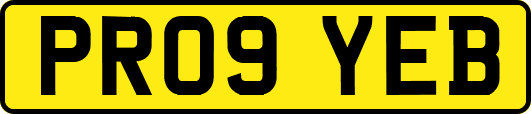 PR09YEB