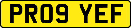 PR09YEF
