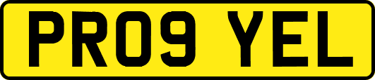 PR09YEL