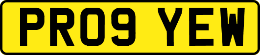 PR09YEW