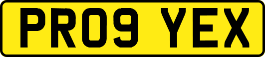 PR09YEX