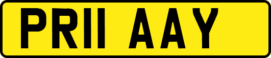 PR11AAY