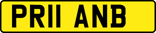 PR11ANB