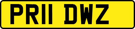 PR11DWZ