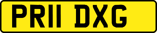 PR11DXG