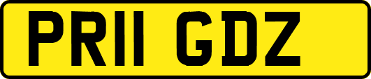 PR11GDZ