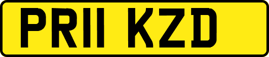 PR11KZD