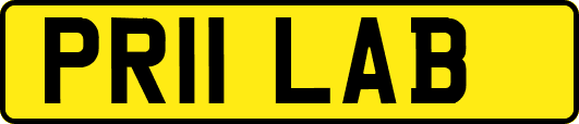 PR11LAB