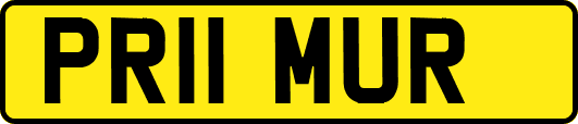 PR11MUR