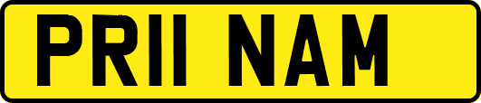 PR11NAM