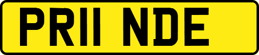 PR11NDE