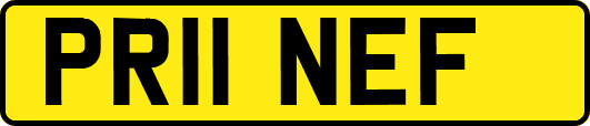 PR11NEF