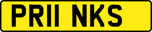 PR11NKS