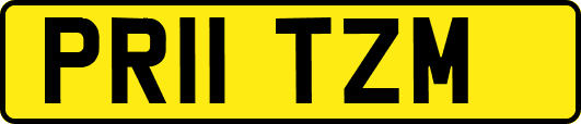PR11TZM