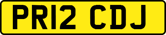 PR12CDJ