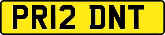 PR12DNT